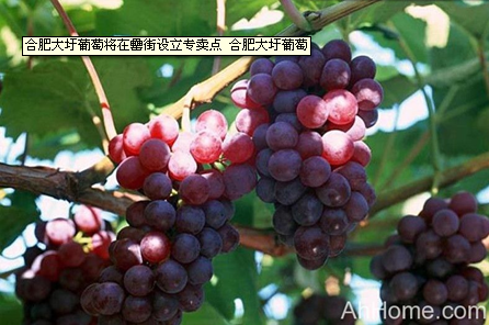 888集团(中国)有限公司官网
