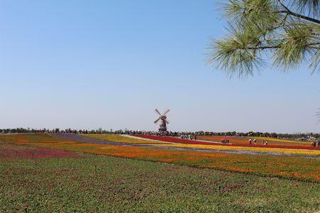 888集团(中国)有限公司官网
