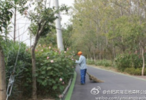 888集团(中国)有限公司官网