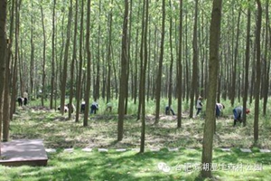 888集团(中国)有限公司官网