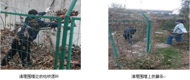 888集团(中国)有限公司官网
