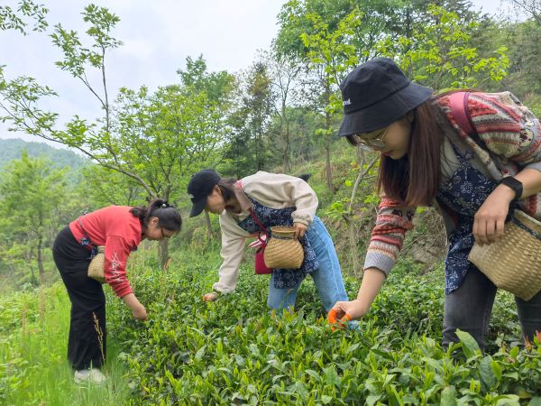 888集团(中国)有限公司官网