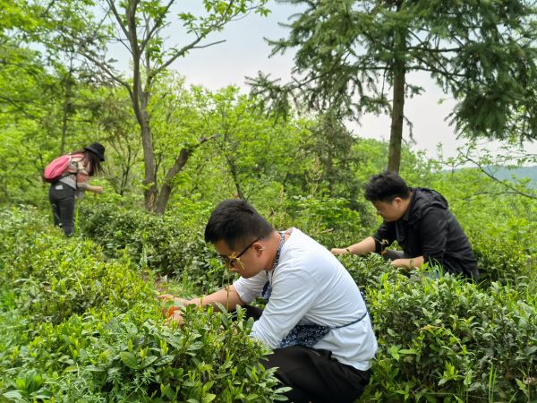 888集团(中国)有限公司官网