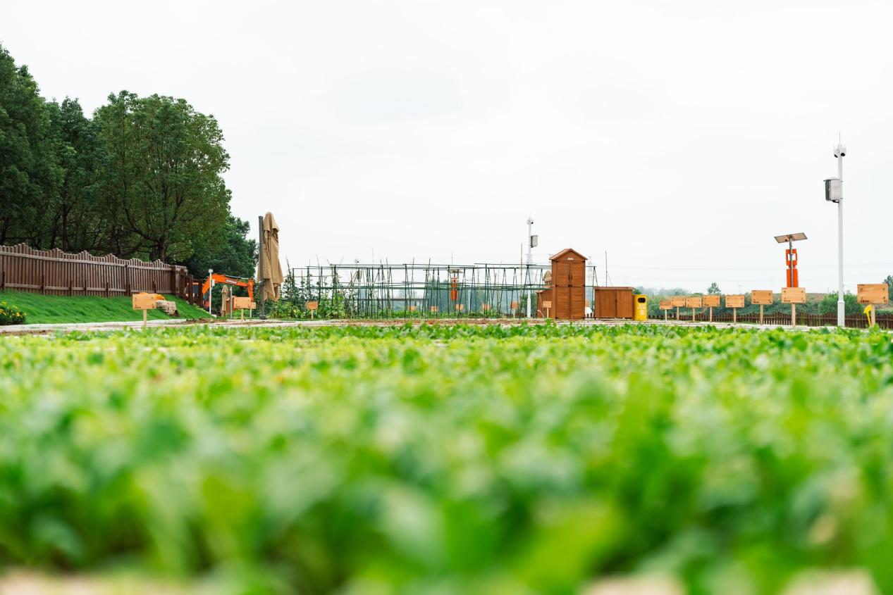 888集团(中国)有限公司官网